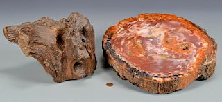 2 Petrified Wood Pcs, Including Agatized Cross Section