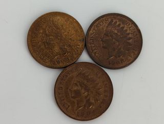 Three U.S. Indian Head One Cent Coins
