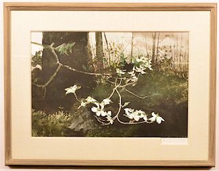 Andrew Wyeth Limited Edition 154/300 Print.