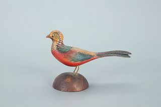 Miniature Golden Pheasant, A. Elmer Crowell (1862-1952)