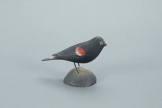 Miniature Red-Winged Blackbird, A. Elmer Crowell (1862-1952)