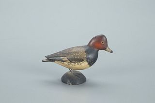 Miniature Redhead Drake, A. Elmer Crowell (1862-1952)