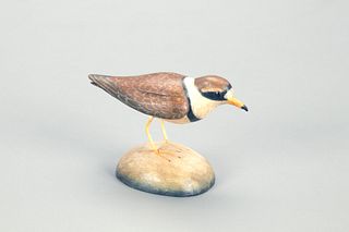 Miniature Semipalmated Plover, Frank S. Finney (b. 1947)
