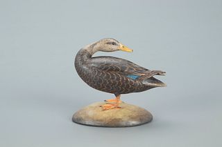 Miniature Preening Black Duck, Frank S. Finney (b. 1947)