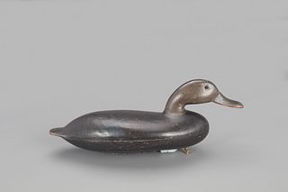 Rare Swimming Black Duck Decoy, John Blair Sr. (1843-1929)