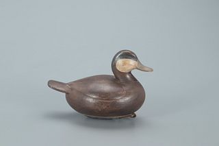 Ruddy Duck, Mark S. McNair (b. 1950)