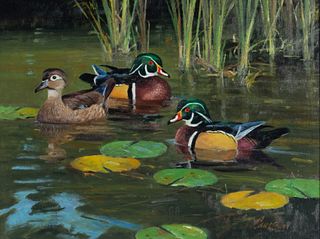 Ken Carlson (b. 1937), Wrapped in Color (Wood Ducks)