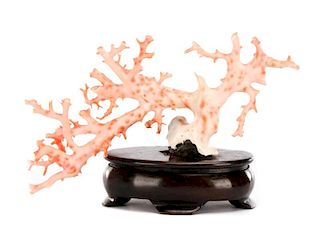 Natural Pink Coral Specimen on Stand