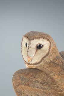 Barn Owl, Floyd Scholz (b. 1958)