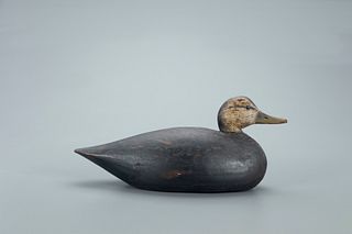 Early Oversize Black Duck Decoy, A. Elmer Crowell (1862-1952)