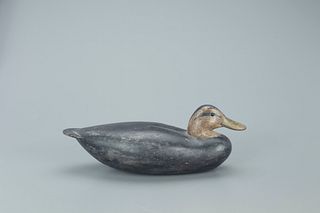 Black Duck Decoy, Benjamin Holmes (1843-1912)
