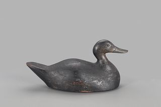 Rare Oversize Black Duck Decoy, Frank Strey (1890-1966)