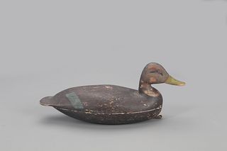 Black Duck Decoy, Levi Rhodes Truex (1860-1934)