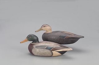 Mallard and Black Duck Decoys, Anthony G. Murray (1941-2005)