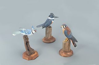Kingfisher, Kestrel, and Blue Jay, Pete Micciche