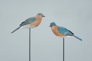Bluebird Pair, John Vulcani