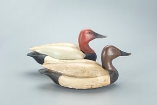 Canvasback Pair, Andre Broussard