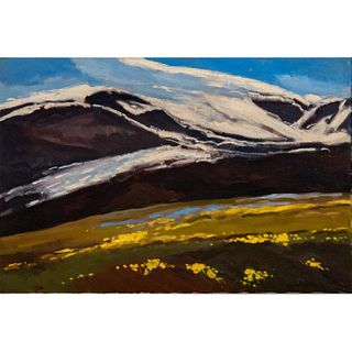 Manuel Da Silva (American b. 1932) Signed Original Oil on Canvas. Landscape
