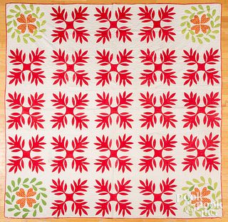 Pennsylvania appliqué floral quilt, 19th c.
