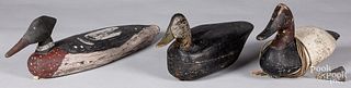 Three carved and painted duck decoys, early 20th c