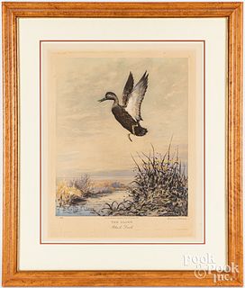 Roland Clark signed Duck print