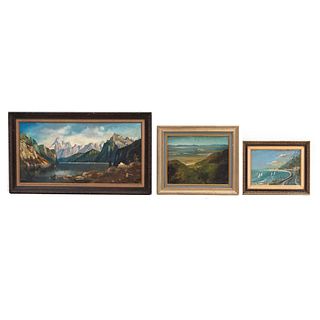 Lote de 3 paisajes. Óleos sobre tela.  FIRMADO RIBBERCK, 50 x 100 cm , FIRMADO G. CHAVALIER. 30 x 40 cm y FIRMADO CEPALOS.