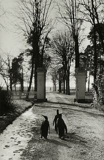 WILLY RONIS (French 1910-2009) A PHOTOGRAPH, "Le Repos du Cirque Pinder 1956,"