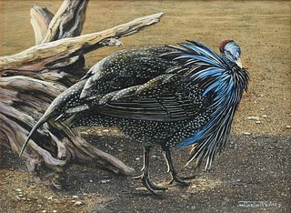 JAN MARTIN MCGUIRE (American b. 1955) A PAINTING, "Vulturine Guineafowl," 