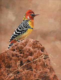 JAN MARTIN MCGUIRE (American b. 1955) A PAINTING, "Red and Yellow Barbet (Trachyphonus Erythrocephalus)," 