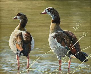 JAN MARTIN MCGUIRE (American b. 1955) A PAINTING, "Pair of Egyptian Geese in Water," 