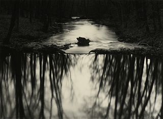 PAUL CAPONIGRO (American b. 1932) A PHOTOGRAPH, "Redding Woods, Connecticut," CIRCA 1968,