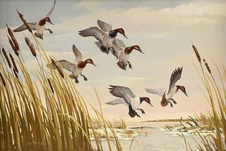 LEE LEBLANC (American 1913-1988) A PAINTING, "Canvas Back Ducks Landing in Marsh," 