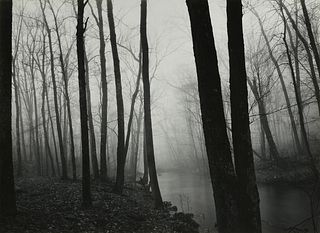 PAUL CAPONIGRO (American b. 1932) A PHOTOGRAPH, "Redding Woods," 1968,