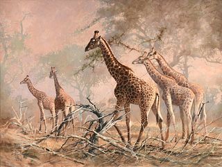 KOBUS MÖLLER (African b. 1949) A PAINTING, "A Tower of Giraffes,"