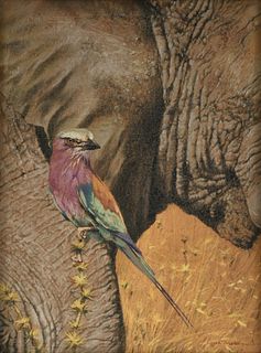 KIM DONALDSON (Zimbabwean b. 1952) A DRAWING, "Lilac Breasted Roller and Elephant,"