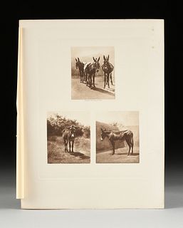 after ROSA BONHEUR (French 1822-1899) A GROUP OF TWELVE ENGRAVINGS, SHEPHERDS, FOX, OXEN, MULES AND DONKEYS, PARIS, APRIL 10, 1900,