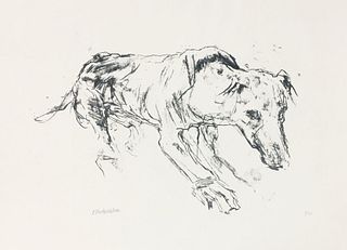 Oskar Kokoschka - Hirtenhund