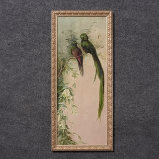 Oil On Board, Pair Of Resplendent Quetzal On A Branch