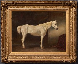 19th Century Portrait Of A White Stallion In The Manner of Herring
