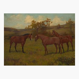 Arthur Wardle (British, 1864?1949) Horses in a Field