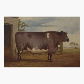 British School (19th Century) Prize Cow, Facing Right
