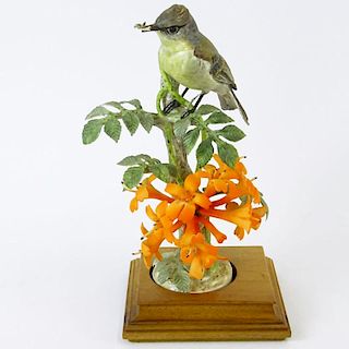 Dorothy Doughty Royal Doulton Porcelain Bird Group "Phoebe Sayor & Flame Vine". On wood stand. Signed. Good condition. Measures 10-3/4" H. Shipping: T