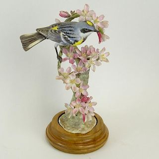 Dorothy Doughty Royal Worcester Porcelain Bird Group "Myrtle Warbler". With wood stand. Signed. Losses to branch or in good condition. Measures 9-3/4"