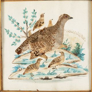 American School, Grouse, Watercolor & Feathers