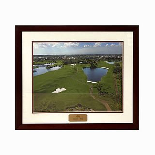 Color Photograph Of "Grande Oaks Golf Club" Framed