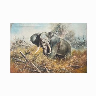 W. Chapman Oil Painting On Canvas Of Elephant