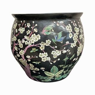Chinese Famille Noir Porcelain Koi Fish Bowl