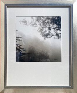 A Framed Photograph