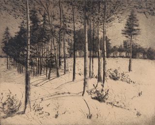 Charles W Dahlgreen (IL, IN, 1864 - 1955) Etching
