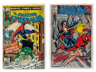 The Amazing Spider Man #101 and #212 Comic Books